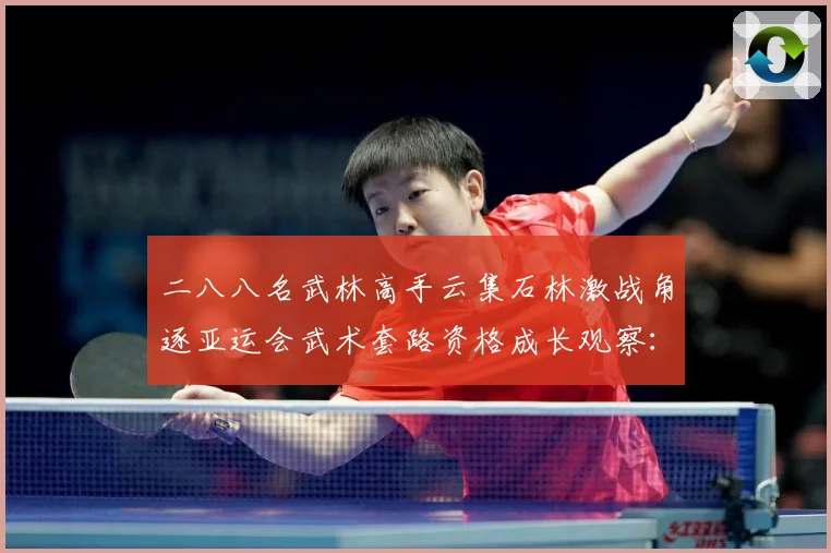 二八八名武林高手云集石林激战角逐亚运会武术套路资格成长观察：最新赛事动态与深度分析