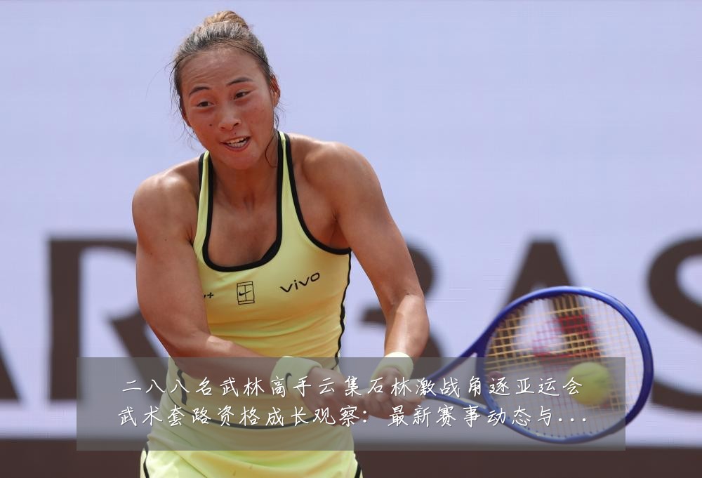 二八八名武林高手云集石林激战角逐亚运会武术套路资格成长观察:最新赛事动态与深度分析